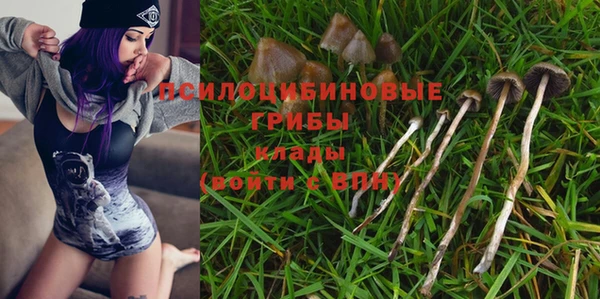 герыч Няндома