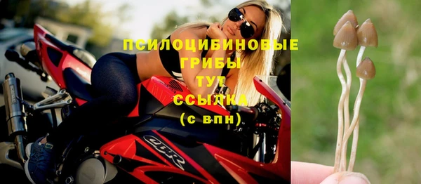 spice Нягань