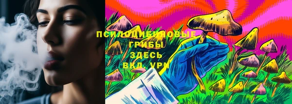 герыч Няндома