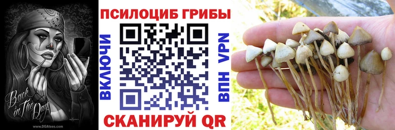 купить наркоту  Тюкалинск  Псилоцибиновые грибы прущие грибы 
